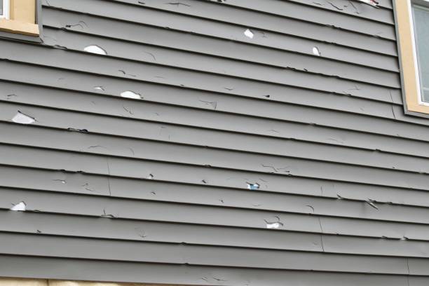 Best Siding Removal and Disposal  in Huguley, AL